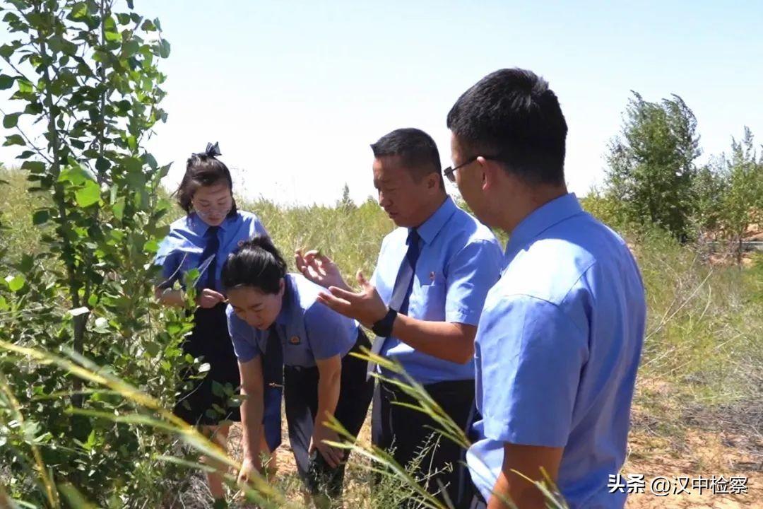 2022年新规助力：生命价值赔偿金提升新篇章