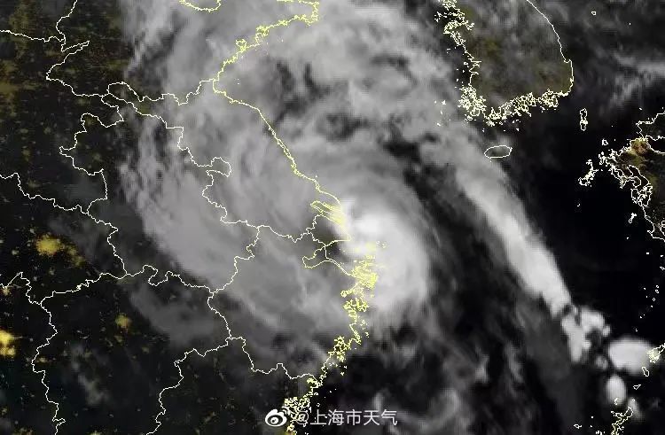 台风动向实时更新，守护家园，共迎风雨彩虹