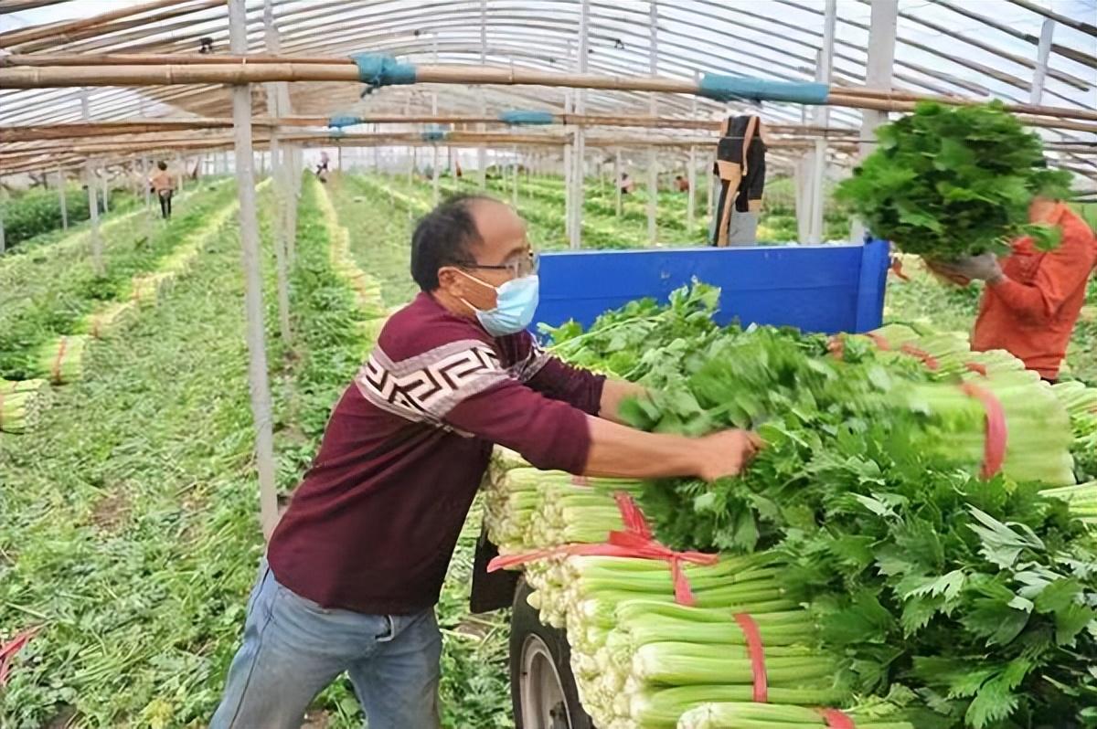 财经纵横 第104页