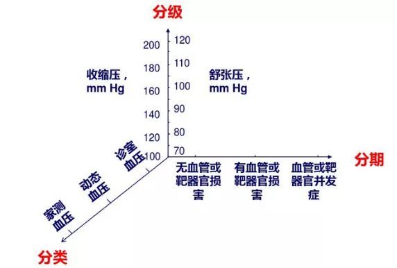 血压健康管理新篇章：分期分级，迈向健康未来