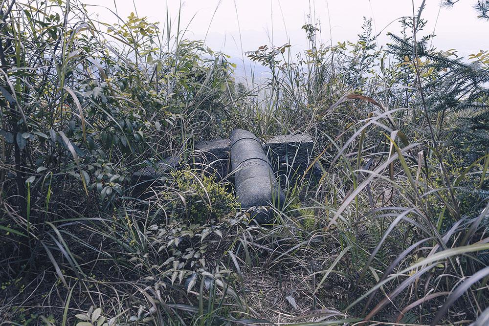 璧山司机岗位火热招募中