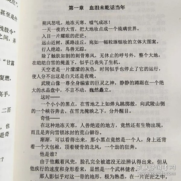 陈青阳古武传奇续篇