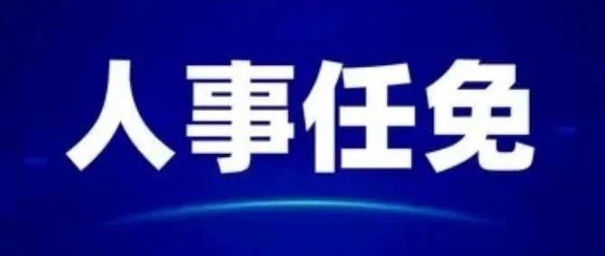 肥城市最新人事调整公告