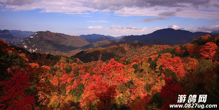 最新光雾山旅行指南