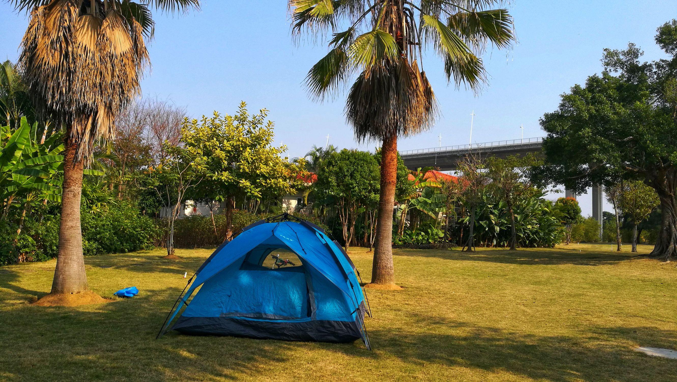 湛江地区急聘！全新司机职位热招中！