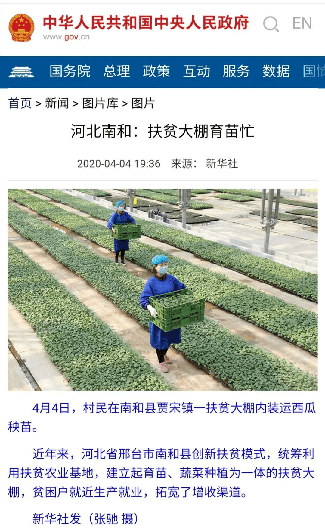 创新农业种植实践：精选案例深度解析