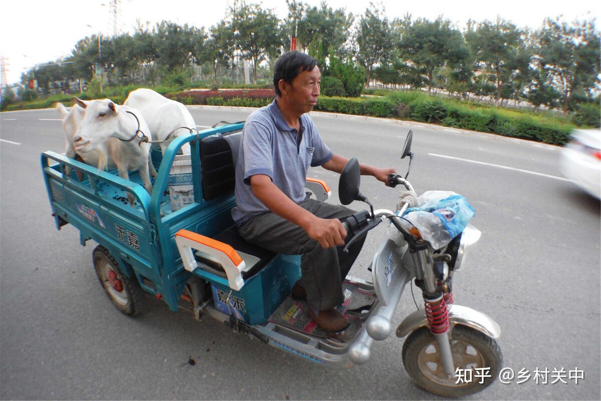 全新上市！节能环保型油电混合动力三轮车，驾驭未来出行新潮流